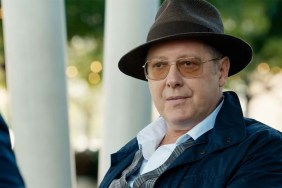 Who Is James Spader's Girlfriend? Leslie Stefanson's Job & Kids