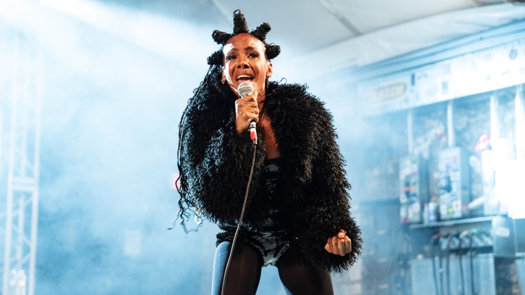 Dawn Richard Net Worth 2025: How Much Money Does She Make?