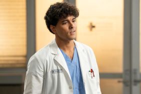 Grey’s Anatomy Season 21 Episode 17 Release Date, Time, Where to Watch