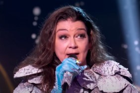 Why Was Gretchen Wilson In a Wheelchair? Injury Explained