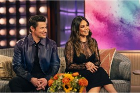 Who Is Nick Lachey's Wife? Vanessa's Job & Kids
