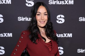 Who Is Brie Bella's Husband? Bryan Danielson's Relationship History