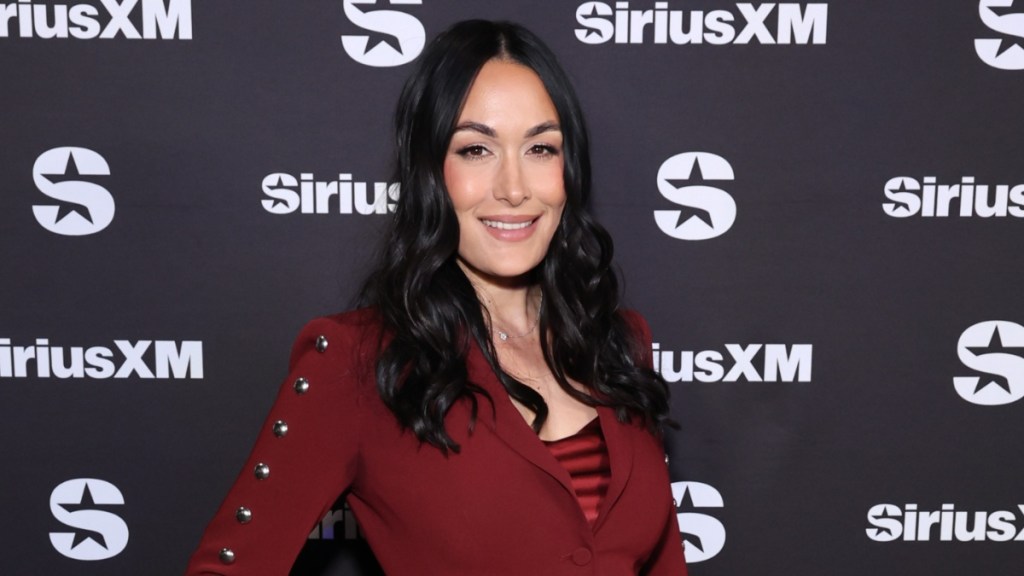 Who Is Brie Bella's Husband? Bryan Danielson's Relationship History