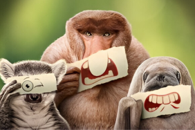 Disney Plus Schedule June 16-June 22, 2025: New TV Shows & Movies Being Added