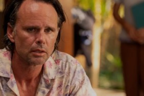 Report: Walton Goggins, Eric André & More Circling Street Fighter Roles