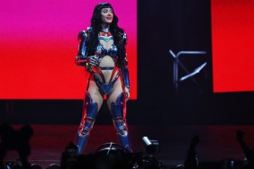 Katy Perry Fan Ambush Incident at Sydney Concert Explained