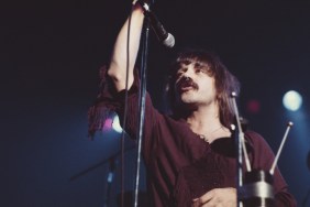 What Happened to REO Speedwagon Rock Star Terry Luttrell? Car Crash Explained