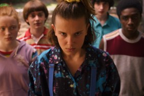 Stranger Things Animated Show Gets First Details, Timeline Revealed