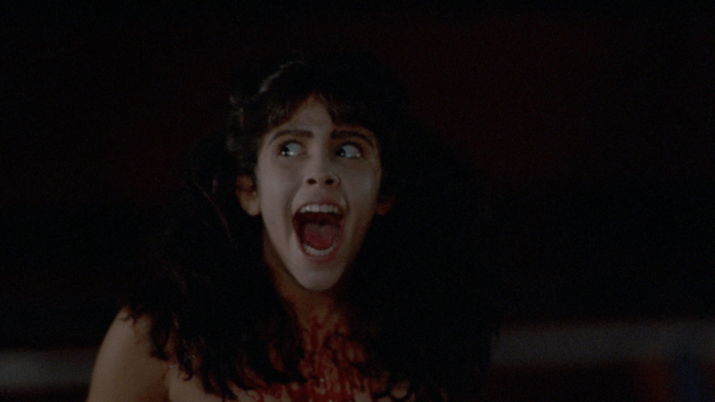 Giveaway: Sleepaway Camp Blu-ray, Book, & More for Shout! TV's Double Take