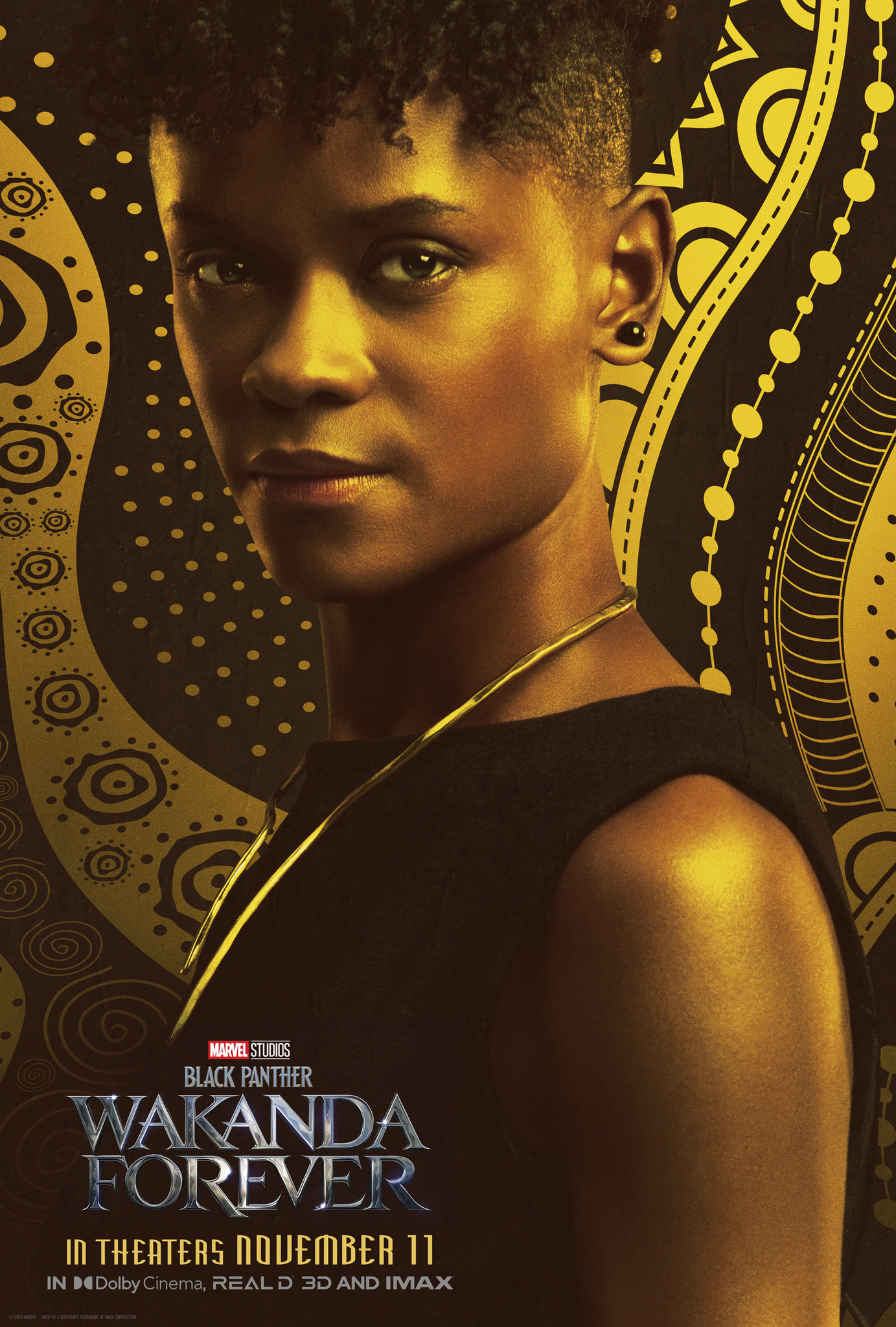 Black Panther: Wakanda Forever Character Posters