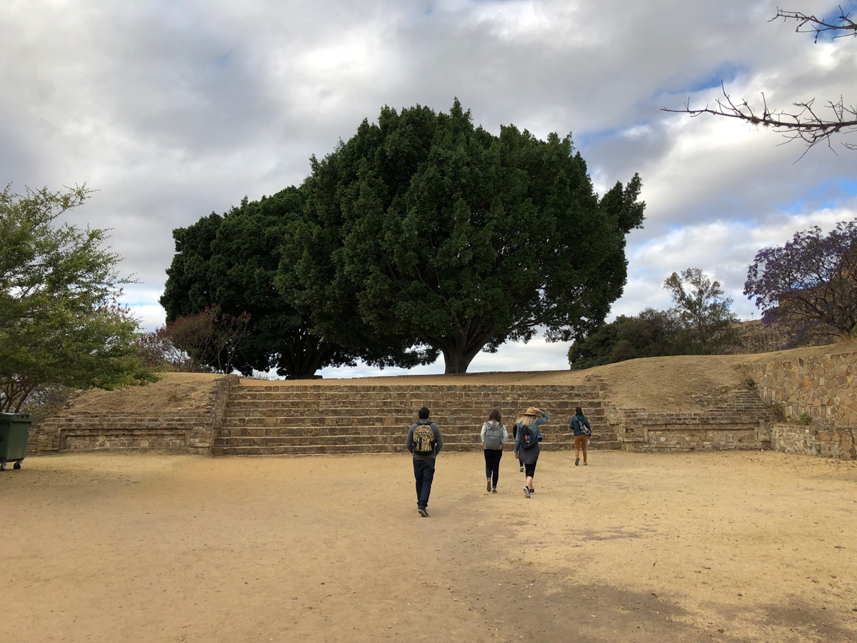 Monte Albán