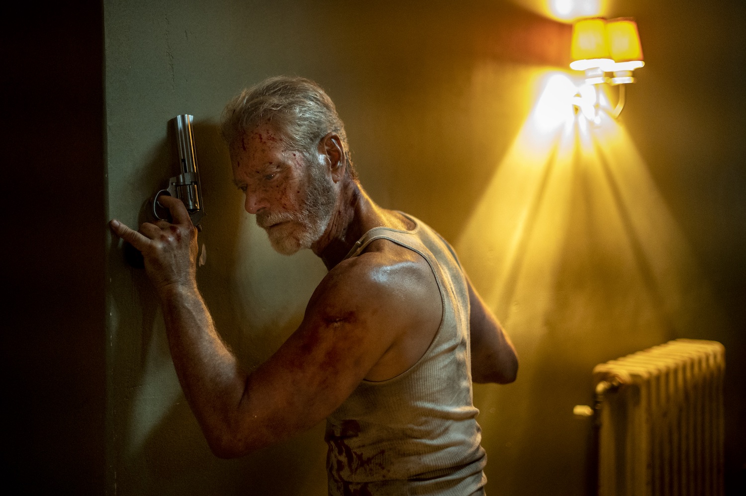 11177198 - Don't Breathe 2