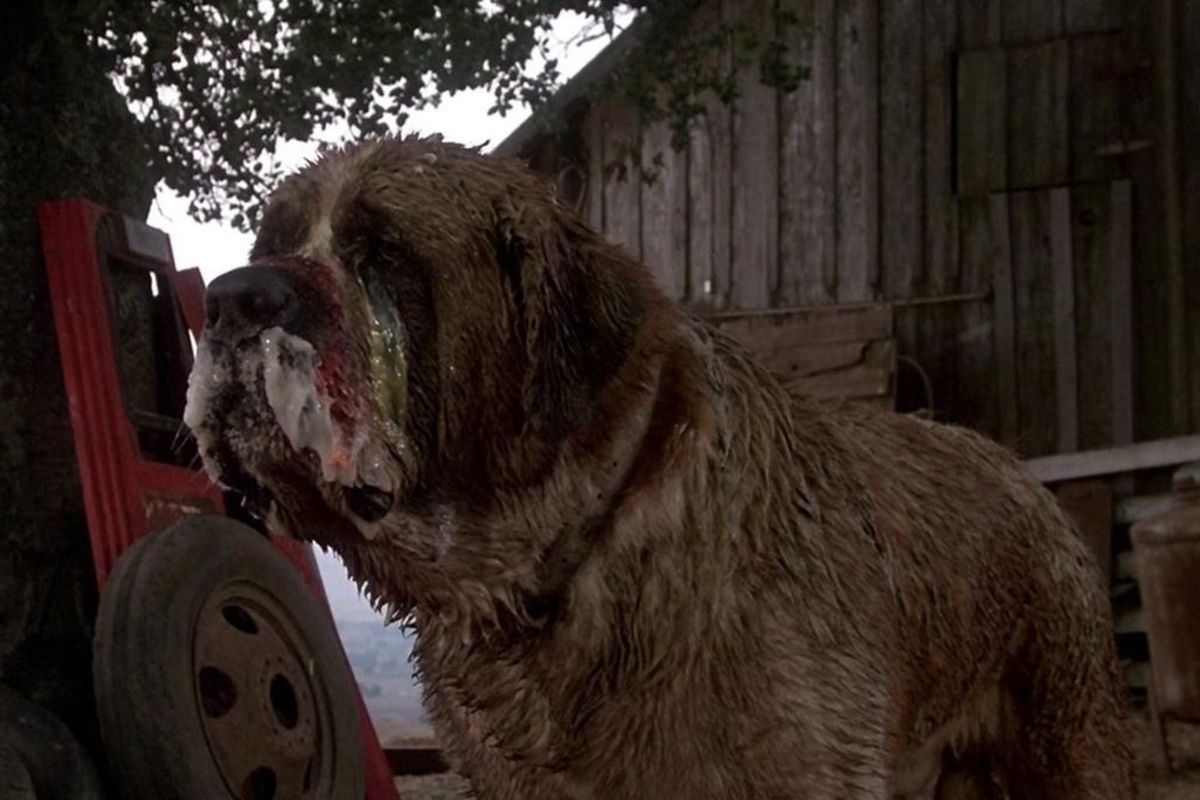 Cujo (1983)