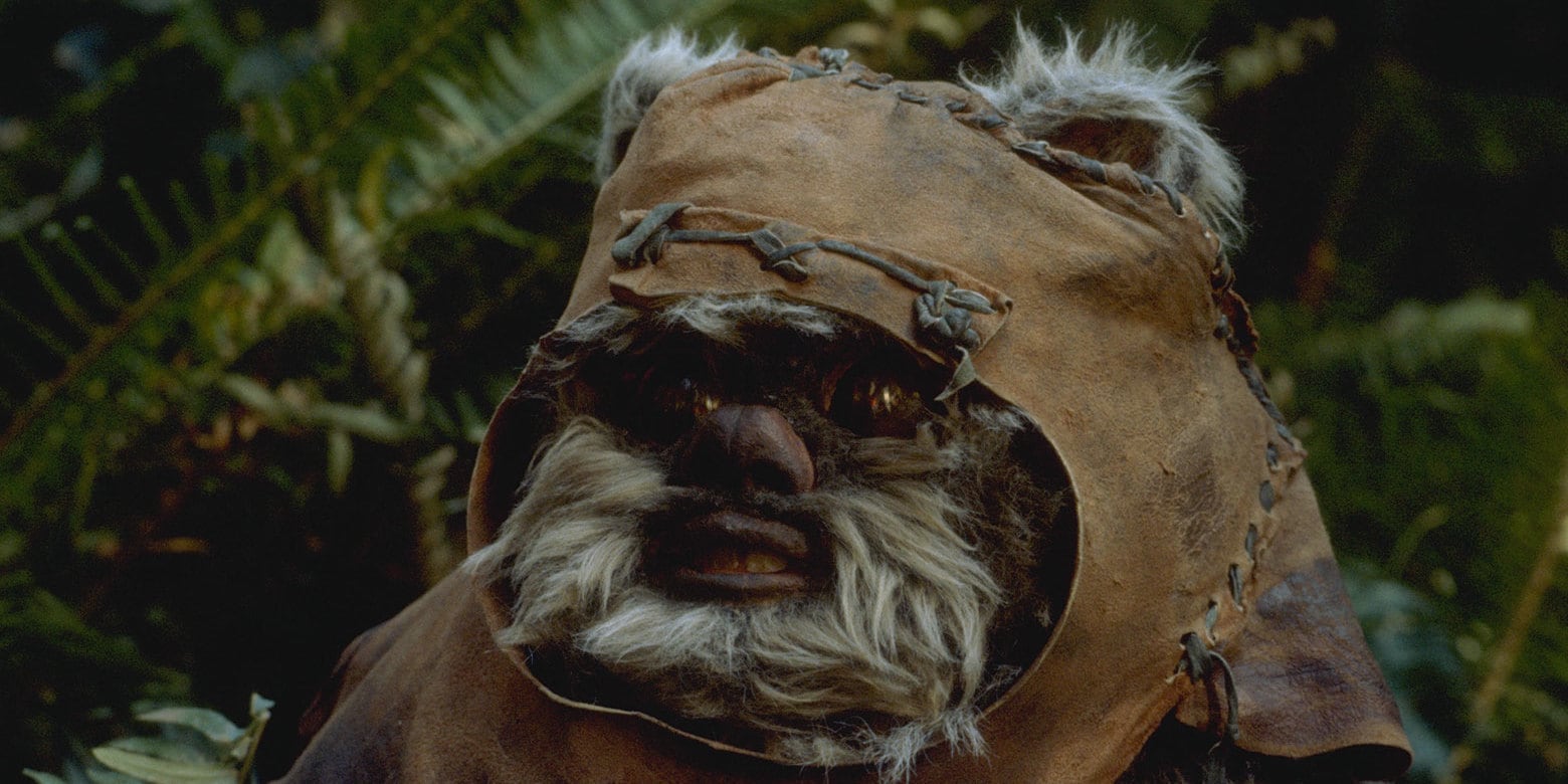 Wicket the Ewok