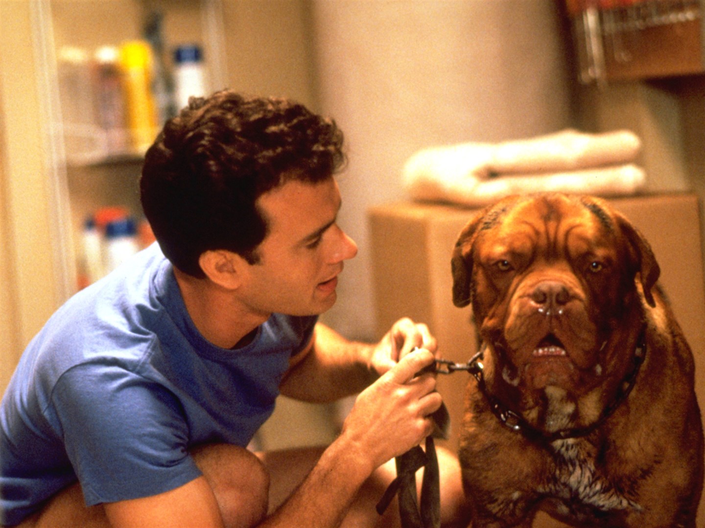 Turner and Hooch, Turner & Hooch (1989)